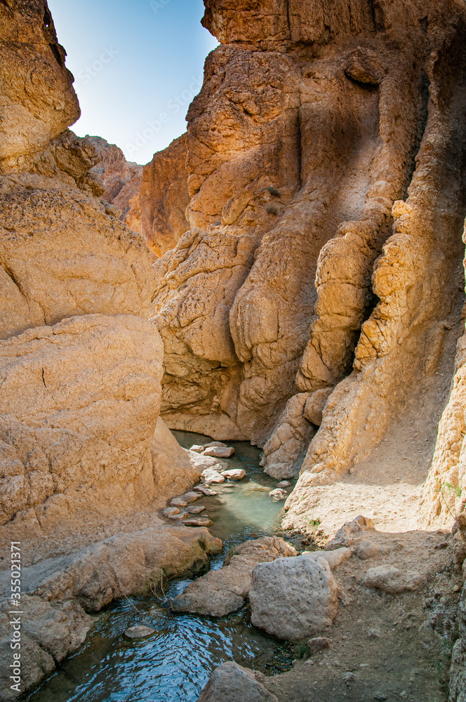 Oasis in the middle of Sahara Desert close to the town of Tozeur, Tunisia