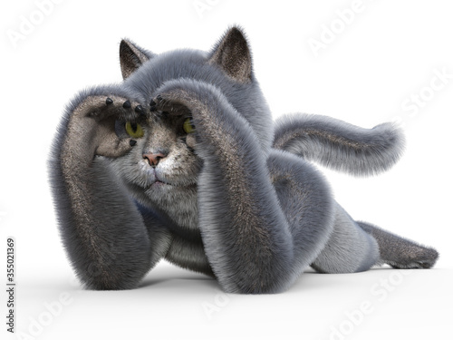 Fotografie Gray cat lying in ambush and curiously spying with fingers around eyes