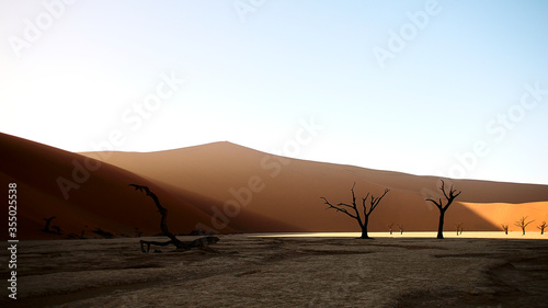 Namib Sand Sea and Sossusvlei with dead trees