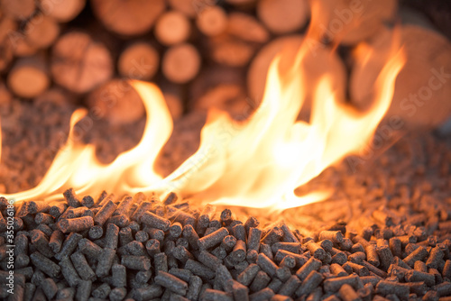 Wooden biomass in flames