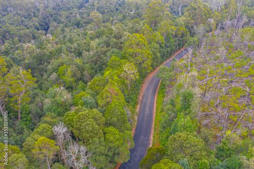 Aerial view of a road at Tarkine forest in Tasmania, Australia photo