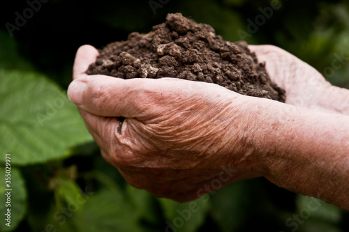 A handful of earth in the old wrinkled palms of the grandmother close-up. Soil in old hands closeup top view. Cultivating the land for a good harvest. Fighting soil pollution. Anthropogenic soil degra photo