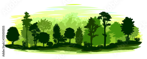 Fototapeta Naklejka Na Ścianę i Meble -  Forest landscape. Isolated on a white background. Plant Scenery, horizon. Silhouettes of trees, bushes. Vector illustration. Jungle.