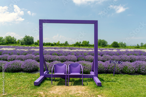 Photography A field of lavender with two empty purple seats framed to make a beautiful picture