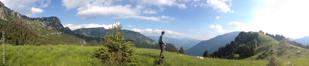 panoramic view on the Alps,  lonely trekking with dogs in a wide meadow