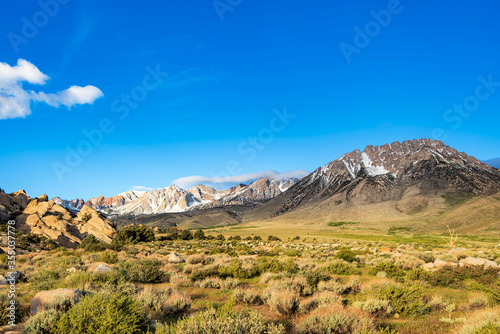 white cloud hangs in blue sky above rocky desert plain mountain meadow with native plants blooming with tiny white wildflowers to distant snowy peaks