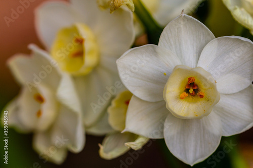 Delicate Clusters