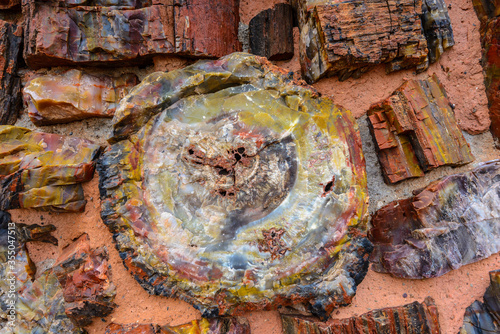 Canvas Print Petrified Wood | Agate House | Painted Desert/Petrified Forest National Park | A