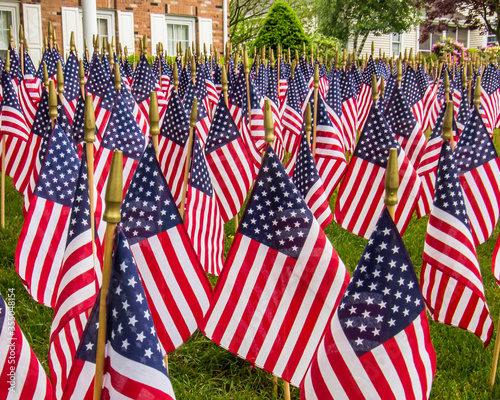 A field of U.S. Flags
