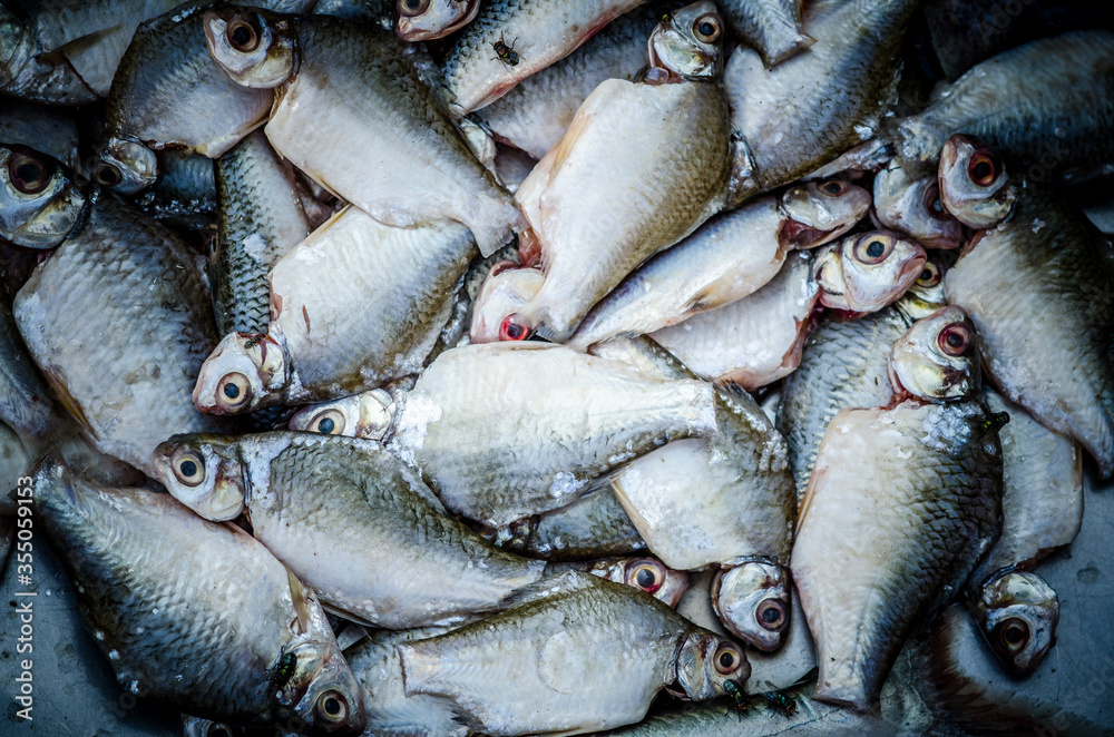 small fishes sold at morning market small fishes sold at morning market