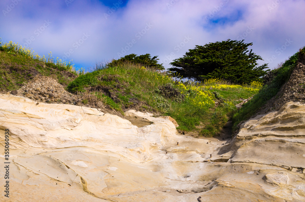 San Gregorio Beach, Big Sur, California, USA