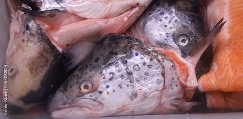 Fish heads in a fish monger's market stall photo