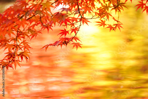 池の水面に映る美しい紅葉