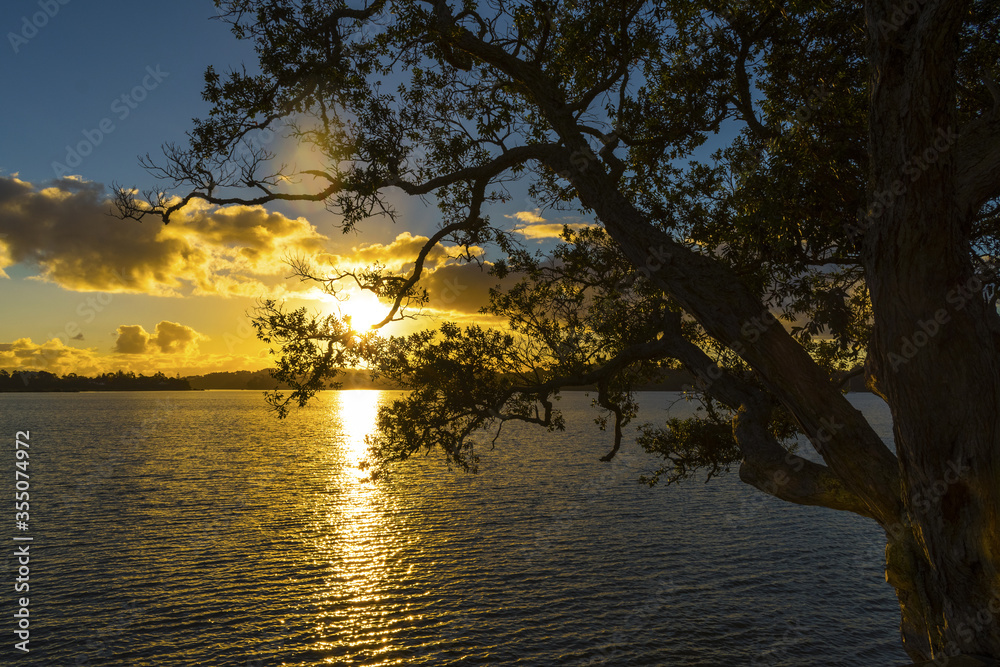 Sunset Time; Landscape Scenery of Christmas Beach at Herald Island, Auckland New Zealand