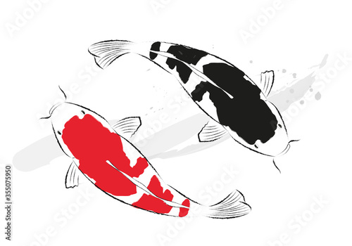 Red and black koi carps hand drawn with ink in painting style