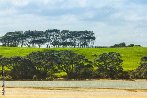 Landscape Scenery of Awhitu Regional Park Beach during Low Tide; Kauritutahi Beach; Auckland New Zealand photo