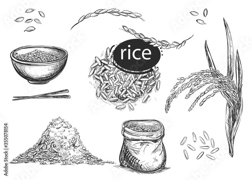 Detailed hand drawn black and white illustration set of rice grain, plant, bag. sketch. Vector. Elements in graphic style menu, package. Traditional food in asian countries: Japan, Korea and China.