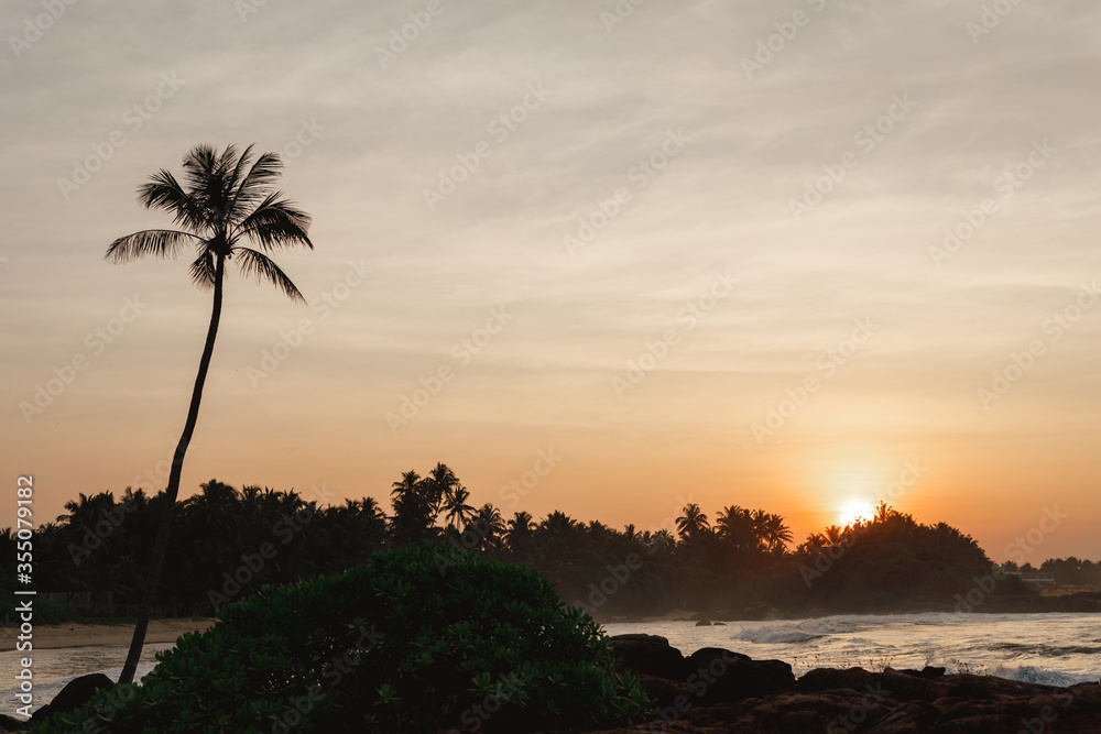 Tropical beach at sunset, nature background. Sunset on the beach with coconut palms. Sri Lanka Tropical beach at sunset, nature background. Sunset on the beach with coconut palms. Sri Lanka
