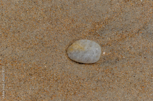 Smooth Rock in the Sand