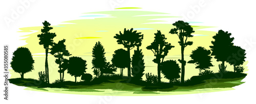 Morning forest silhouette. Vector landscape isolated. The sun has not yet risen. Bright twilight. Trees  shrubs  grass. The hills.