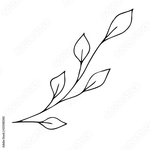 doodle style vector element, pattern, cute twig with leaves, coloring book