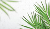 Palm leaves on white quartz countertop with copy space, flat lay
