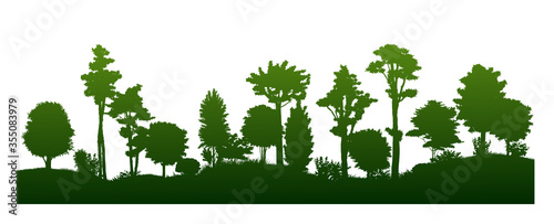 Forest silhouette vector isolated. Park landscape. Tall and low trees  shrubs  grass. Overgrown hills. Detailed object.