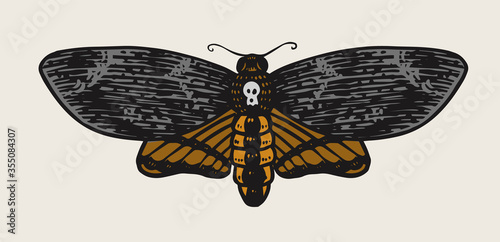 Moth or butterfly. Vintage Retro night-fly or mole. Hand drawn engraved monochrome sketch for labels or posters, tattoo or t-shirts. Mystical or alchemy astrology symbol. 
