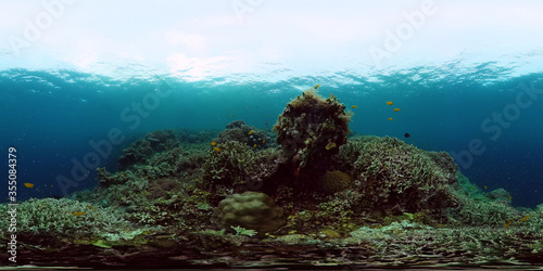 Underwater fish reef marine 360VR. Tropical colorful underwater seascape with coral reef. Panglao  Philippines.