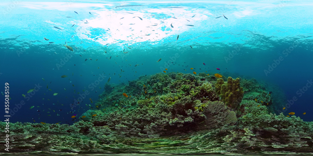 Fototapeta premium Tropical fishes and coral reef at diving. Beautiful underwater world with corals and fish. Panglao, Philippines.