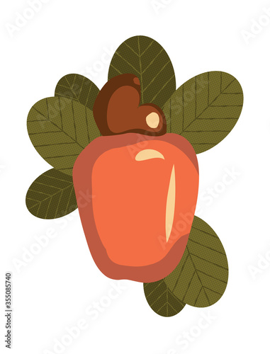 Cashew Fruit