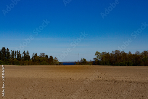 Beautiful view of a field and trees in the distance against a bright blue sky photo