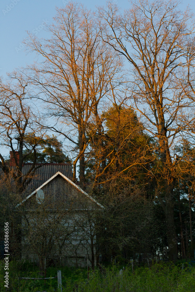 View of the village. Houses and trees lit by the sun.