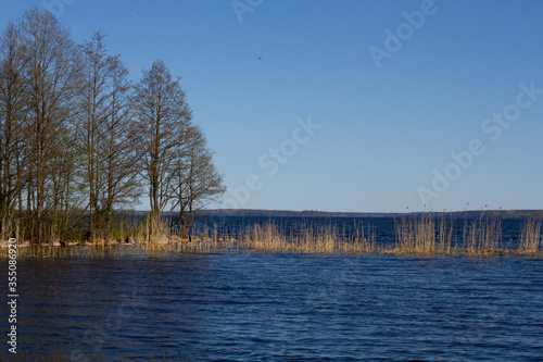 Beautiful view of the trees in the forest and the lake lit by the bright sun © Elen Spirit