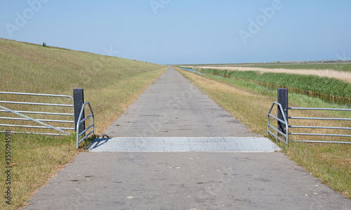 Cattle grid in ground photo