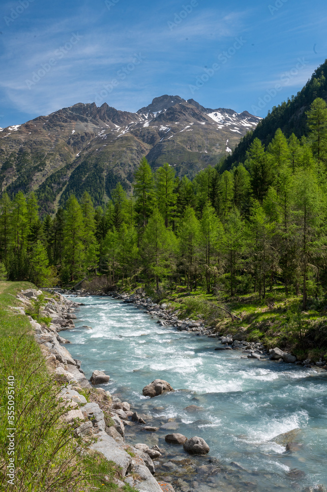 Obraz premium Wildbach im naturbelassenen Val Roseg, Engadin