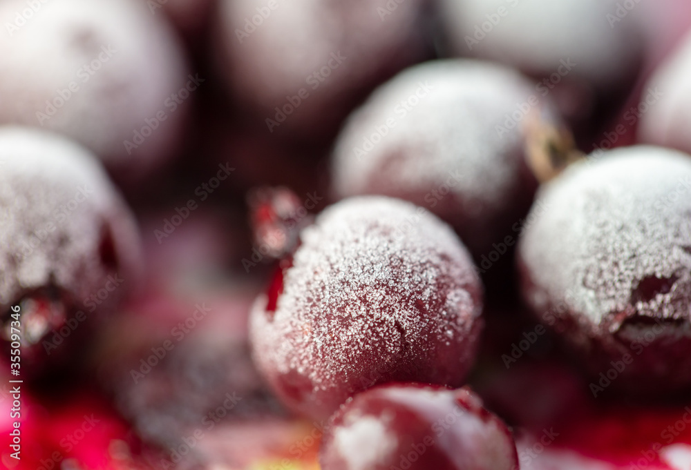 Frozen cranberries in the snow. Frozen cranberries in the snow.