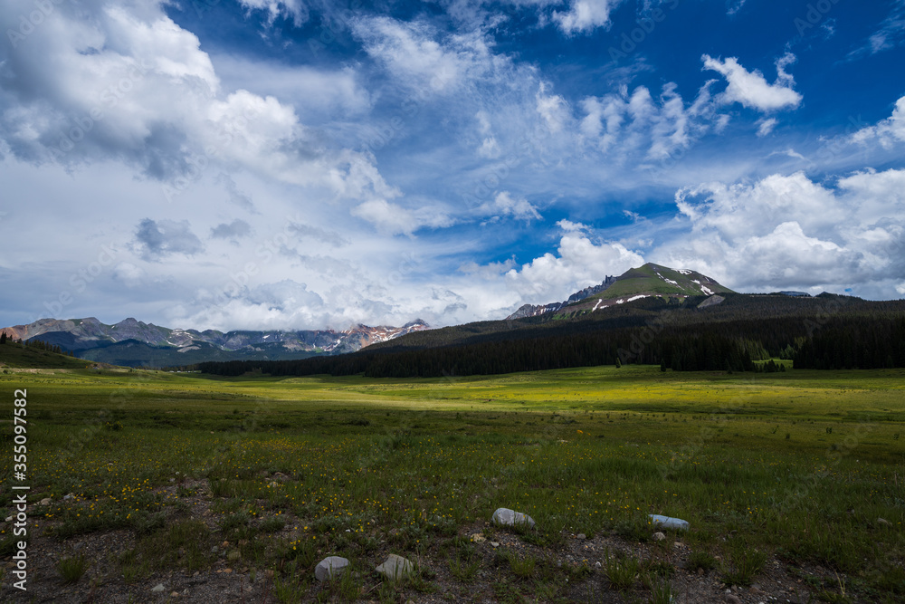 Fototapeta premium Colorado mountain meadow