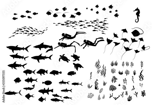 Underwater Marine Life and Sea Creatures Silhouettes