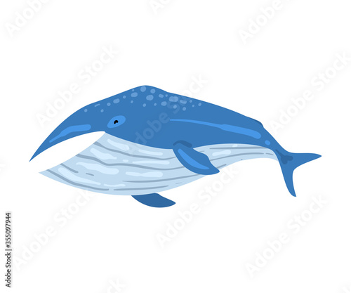 Whale Mammal Animal, Marine Life Element, Sea or Ocean Creature Vector Illustration