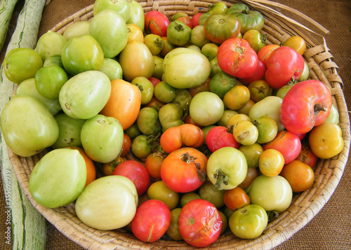 Fototapeta Naklejka Na Ścianę i Meble -  Fresh green, red tomatoes in the basket .