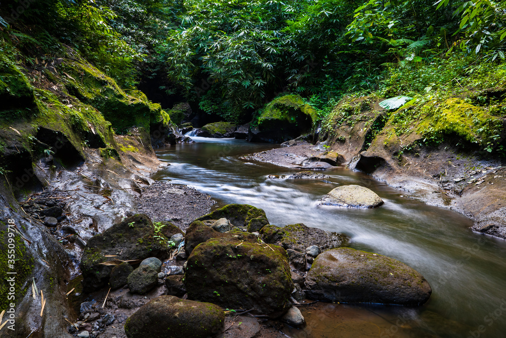 Tropical landscape. River with stones in rainforest. Soft focus. Slow shutter speed, motion photography. Nature background. Environment concept. Bangli, Bali, Indonesia