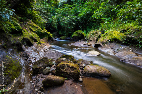 Fototapeta Naklejka Na Ścianę i Meble -  Tropical landscape. River with stones in rainforest. Soft focus. Slow shutter speed, motion photography. Nature background. Environment concept. Bangli, Bali, Indonesia