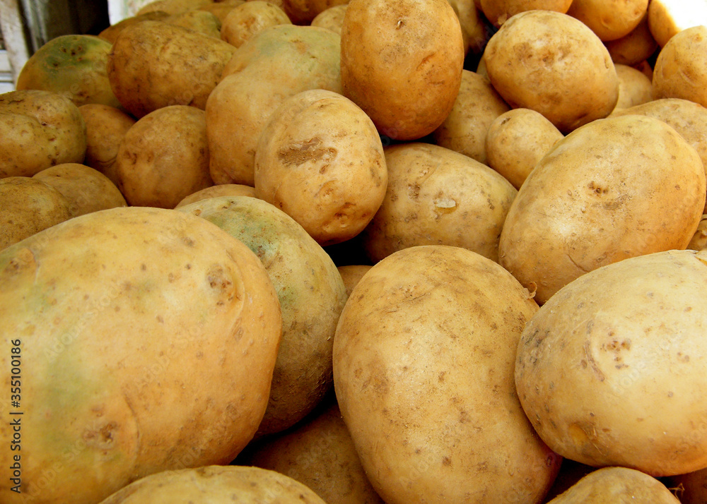 Harvested Fresh Dirty Potatoes in Local Market Sri Lanka Harvested Fresh Dirty Potatoes in Local Market Sri Lanka