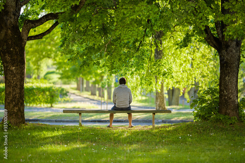 One young man sitting alone on bench between trees at beautiful green park. Thinking about life. Spending time alone in nature. Peaceful atmosphere. Back view.