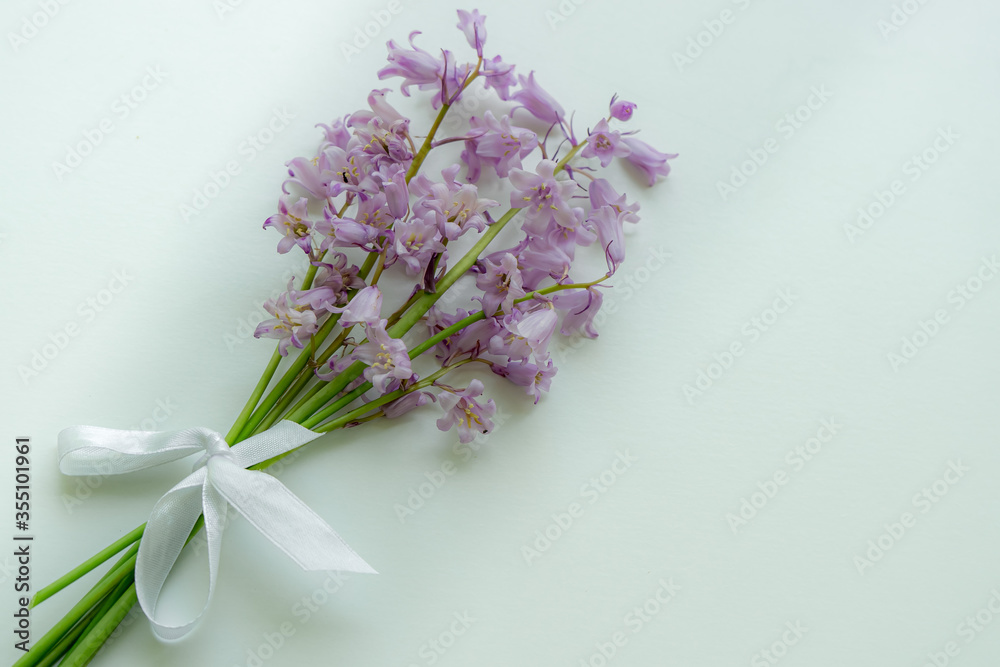Bouquet of bluebells tied with ribbon on a gray background