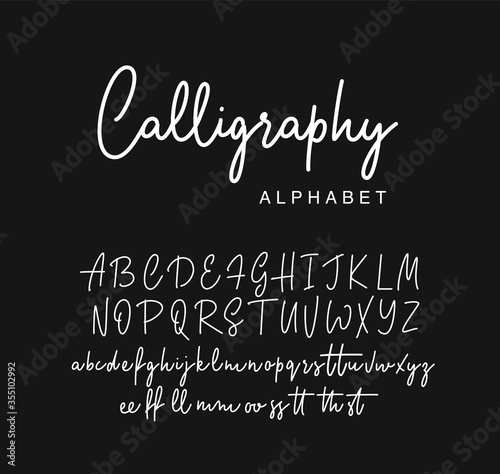Handwritten calligraphy script font design. Vector illustration. photo