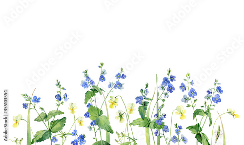 Background from watercolor wild flowers Veronica and violets