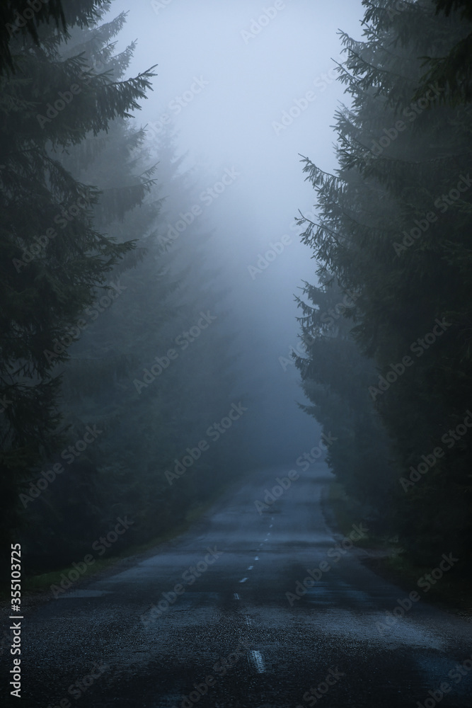 Obraz premium Foggy road