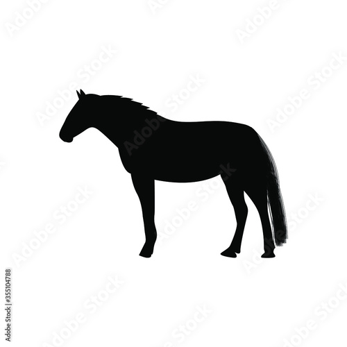 horse silhouette vector